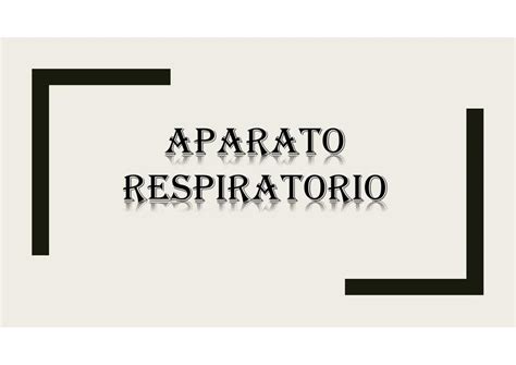 Aparato Respiratorio Nikolle Villaprado Zambrano Udocz