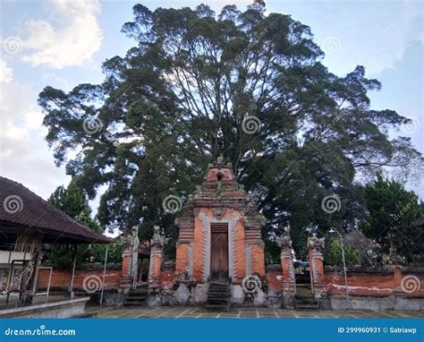 Balinese Temple Gate With A Large Banyan Tree In The Background Stock
