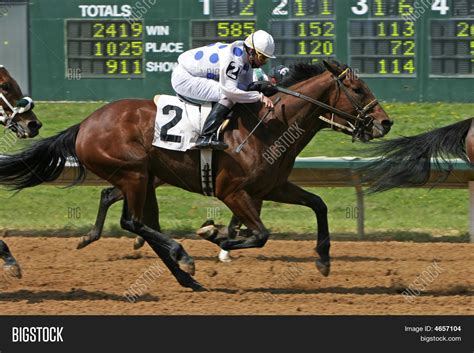 Horse Race Finish Line Image & Photo | Bigstock