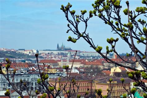 prague  spring prague spring romantic cruise prague travel