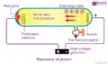 Discovery Of Proton And Neutron Who Discovered And How Proton And