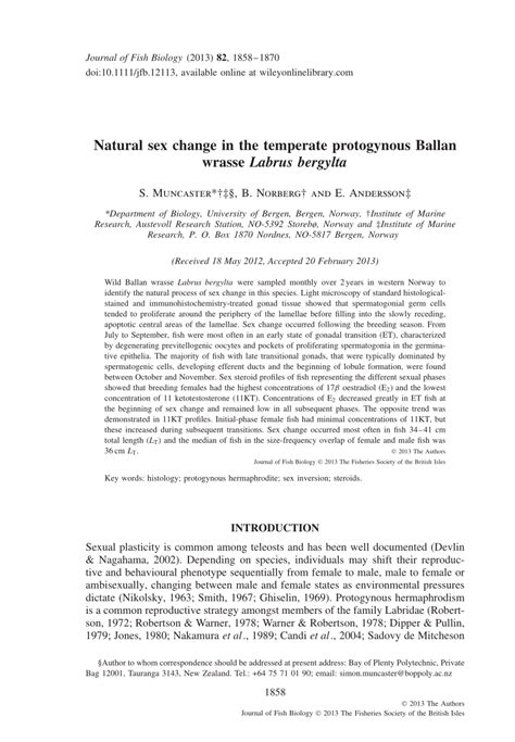 PDF Natural Sex Change In The Temperate Protogynous Ballan Wrasse Labrus Bergylta