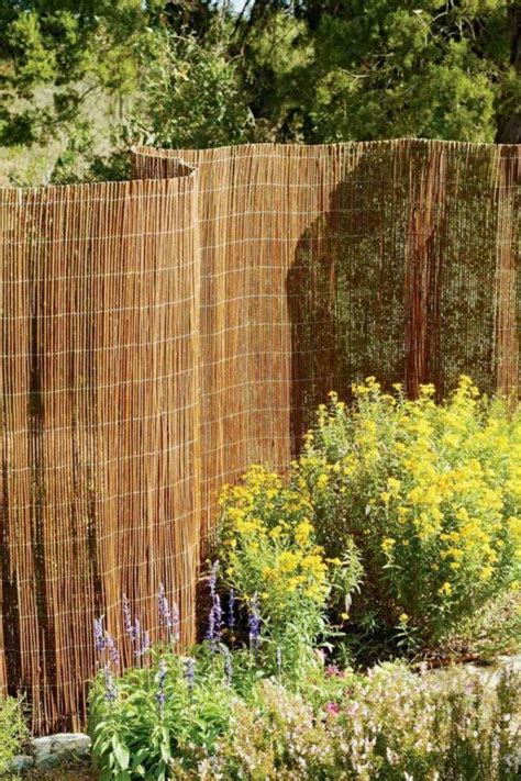 Garden Screen Ideas