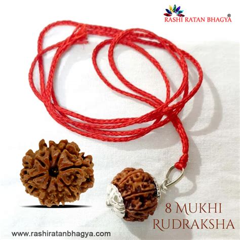 Buy Mukhi Rudraksha Fromrashiratanbhagya At Genuine Mukhi Rudraksha