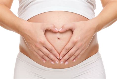 Chiropractic Care During Pregnancy Van Ness Chiropractic