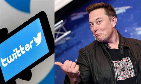 Hundreds Of Twitter Employees Resign After Elon Musks Ultimatum