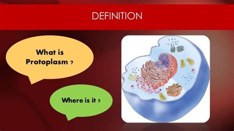 Introduction to Protoplasm