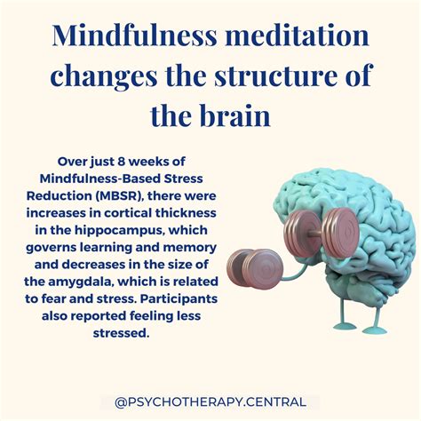 Meditation And The Brain