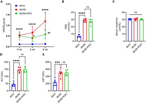 Effects Of Kxc Treatment On The Urinary Albumin To Creatinine Ratio