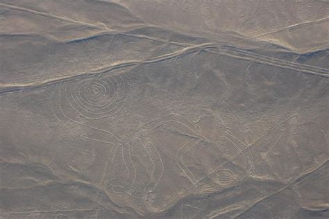 Private Nazca Lines Tour From Lima Including Lunch: Triphobo