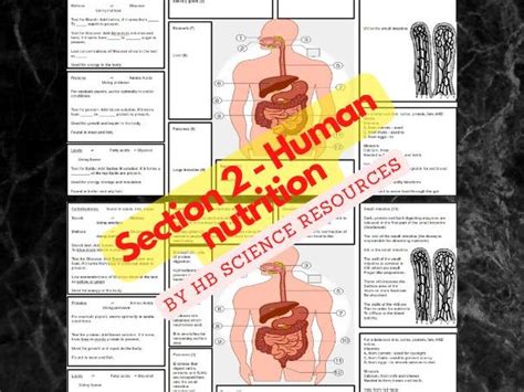 Igcse Human Nutrition Section 2 Revision Poster Biology Combined