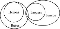 New Syllogism Reasoning Mcq Test For Ssc Cgl