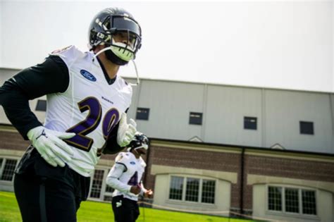 Baltimore Ravens Pre Camp Positional Previews Safety