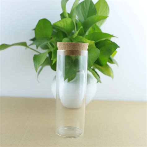 Bouteilles En Verre Pais De 55x150mm Avec Bouchon En Li Ge Pots Pices