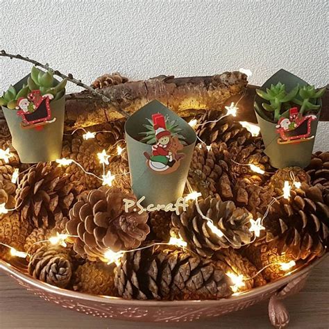 Some Pine Cones And Lights Are In A Bowl