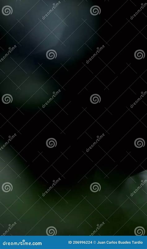 Overlay Effects Light Texture Background Stock Photo - Image of leak ...