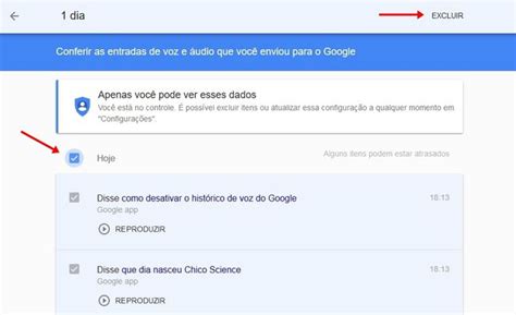 Saiba Como Apagar Seus Registros De Voz Mantidos Pelo Google Canaltech