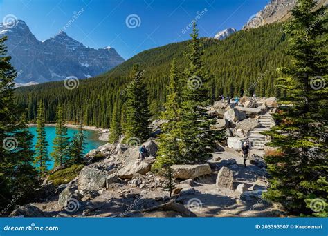 View From Rockpile Trail Lookout On The Enchanting Moraine Lake Banff