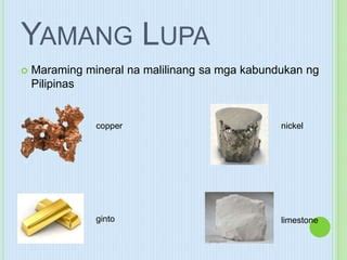 Yamang Lupa