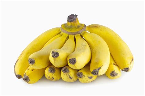 Bunch Of Bananas Isolated With White Background Stock Photo Image Of