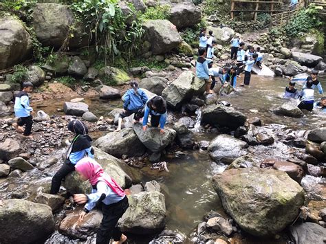 Eksplorasi Bukit Kabayan Gunung Bunder Bogor Sekolah Alam Cikeas