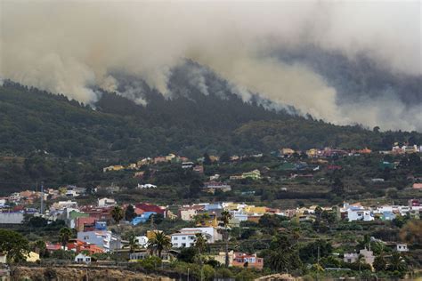 M S De Evacuados Por El Incendio De Tenerife Que Sigue