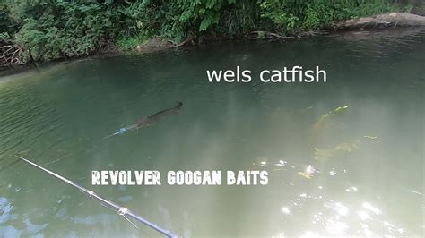 Attaques De Silures En Topwater Avec Le Revolver Googan Squad Youtube