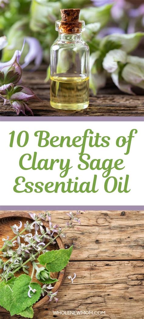 10 Clary Sage Benefits From Hormones To Insomnia More Artofit