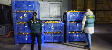 Investigan A Ocho Personas Por El Robo De Naranjas En Zalamea Tinto