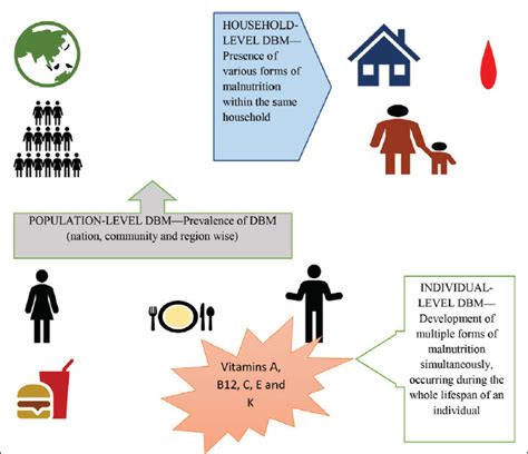 Household Levels Of Double Burden Of Malnutrition In Lowmiddle Income