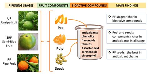 Antioxidants Free Full Text Antioxidant Properties Of Pulp Peel