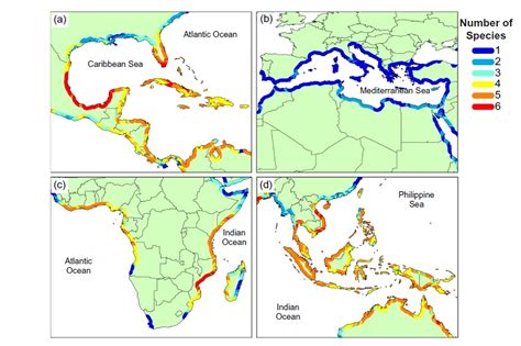 Climate Change Influences Sea Turtle Nesting Shark Research