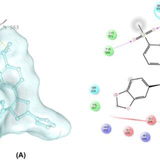 Docking Pose A And Interactions B Of Compound 2 In The Active Site