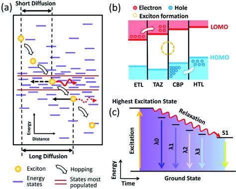 A Schematic Illustration Of The Different Exciton Diffusion Process