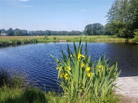 Officiële opening visvijver Witte Wieven gaat door ondanks tegenslag