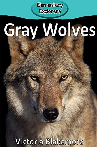 Timberwolves Vs Wolves Key Differences Explained Debunking The Confusion