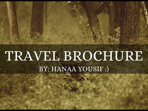 Ancient Civilizations Travel Brochure By Hanaa Yousif