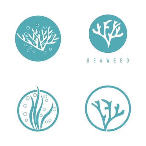 Premium Vector Seaweed Vector Illustration Template