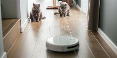 A Thorough Guide To Top Robot Vacuums For Managing Pet Hair Robots