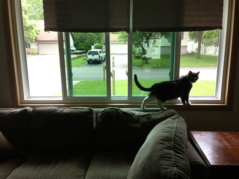 Demonstration of extreme tint. Triple pane lowE -366 Simonton Window