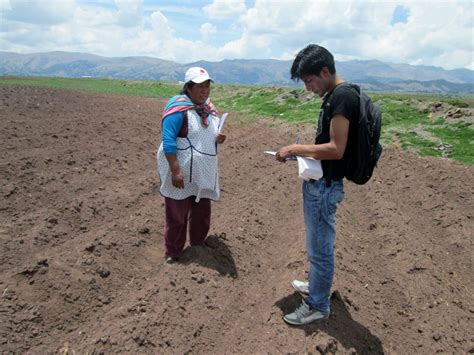 Logrando desarrollo sostenible con la producción de quinua ecológica