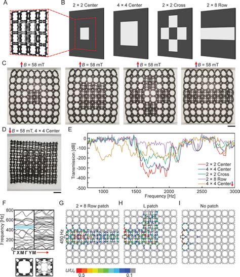 Flipped Bilayer Arranged In Patch Configurations And Application As Download Scientific Diagram