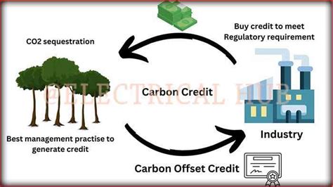 Carbon Credits A Comprehensive Guide Electrical Hub