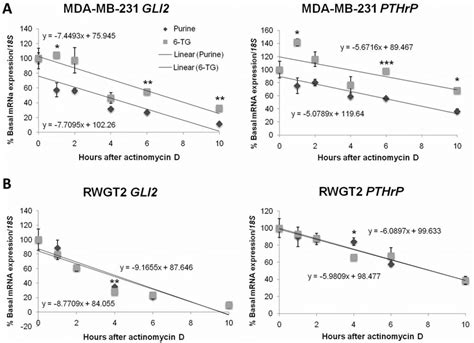 6 Tg Effects On Gli2 Expression Are Independent Of Mrna Stability