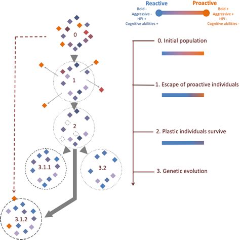 Frontiers A World For Reactive Phenotypes