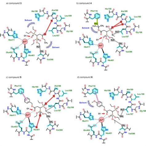 2d Schematic Representations Of The Mmp 9 Catalytic Site With 3 6 And Download Scientific