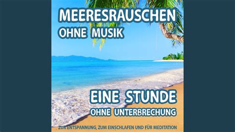 Meeresrauschen Ohne Musik Eine Stunde Ohne Unterbrechung Zur