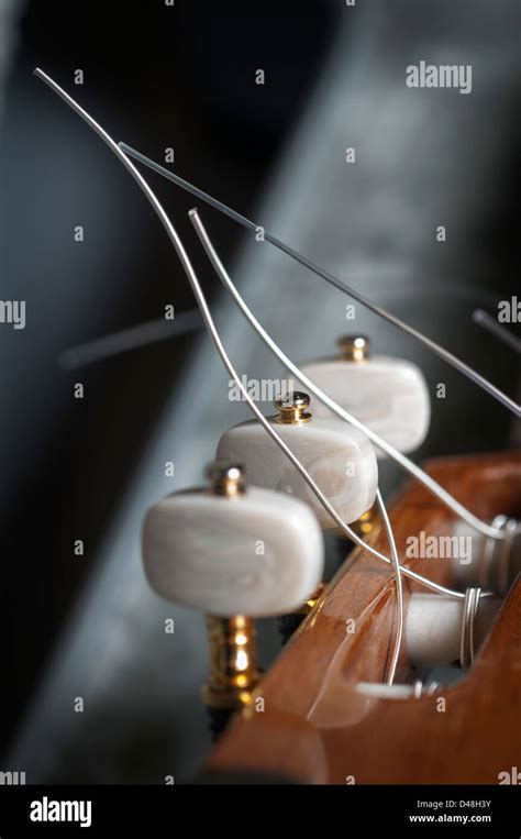 Detail of classical guitar tuning pegs Stock Photo - Alamy