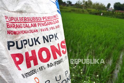 Kementan Kawal Ketat Distribusi Pupuk Subsidi Untuk Petani Republika