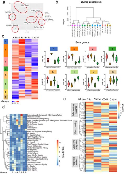 Bulk Rnaseq Reveals Distinct Transcriptomic Features In Subpopulations